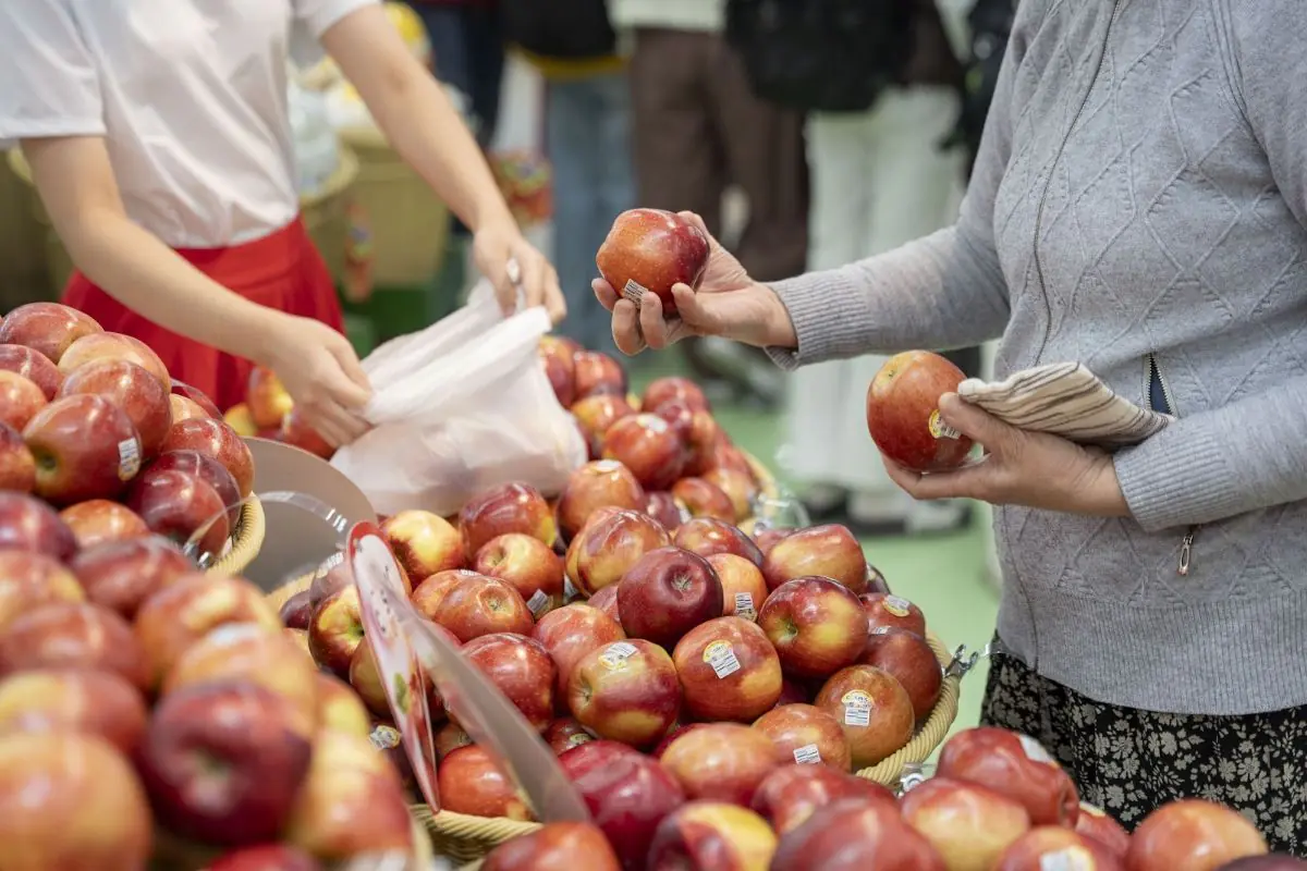 Cosmic Crisp® – khi trái táo không chỉ để ăn mà trở thành lựa chọn sống