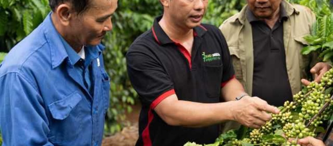 Cán bộ của Nestlé Việt Nam chia sẻ kỹ thuật canh tác cà phê bền vững với người nông dân tham gia dự án Nescafé Plan