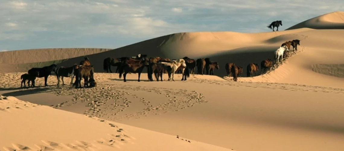 Sa mạc mông cổ, ảnh Sưu tầm