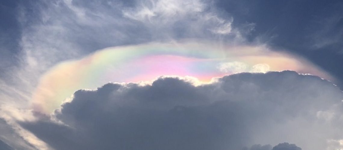 z5439488334786_46358ebb78f2b9a441c98c6f2e79d490